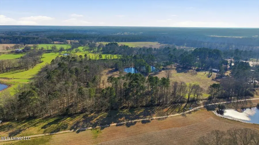 254 Red Allen Road, Brandon, MS 39042 - Image #3