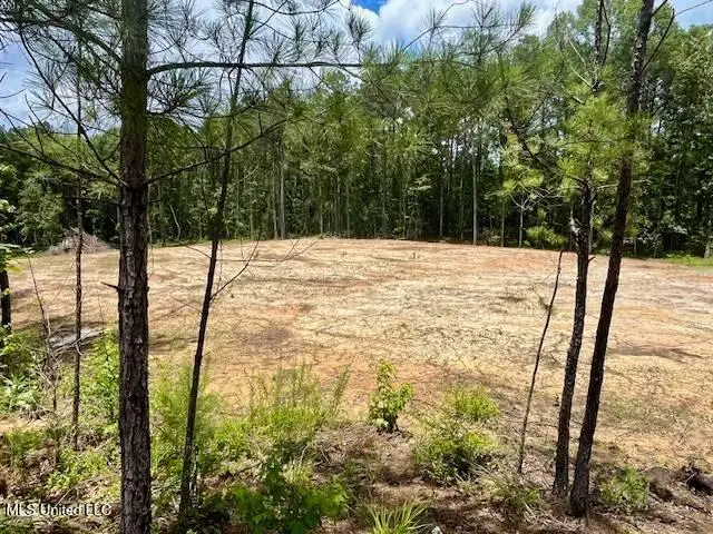 278 Poplar Springs Road, Mendenhall, MS 39114 - #1