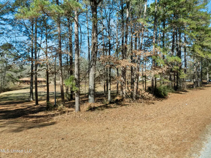 1637 Lake Lincoln Drive, Brookhaven, MS 39601 - #2