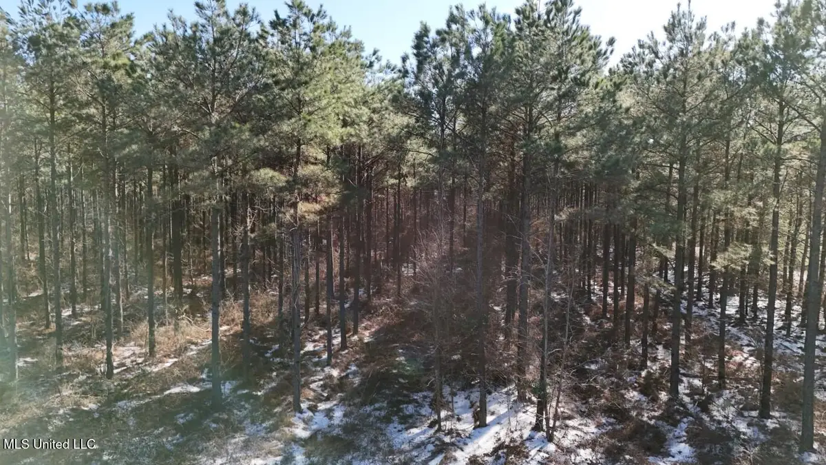 Long Lonesome Road, Bastrop, LA 71220 - #1