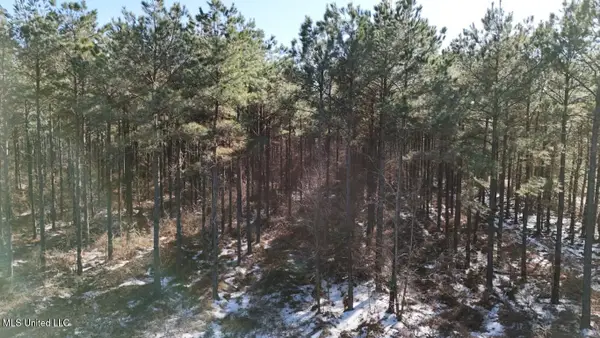 Long Lonesome Road, Bastrop, LA 71220