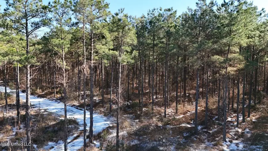 Long Lonesome Road, Bastrop, LA 71220 - #2