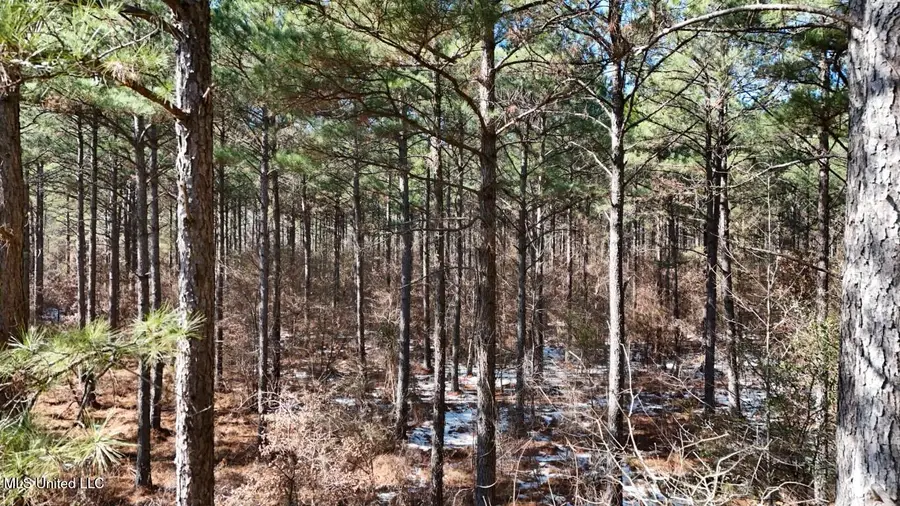 Long Lonesome Road, Bastrop, LA 71220 - #3
