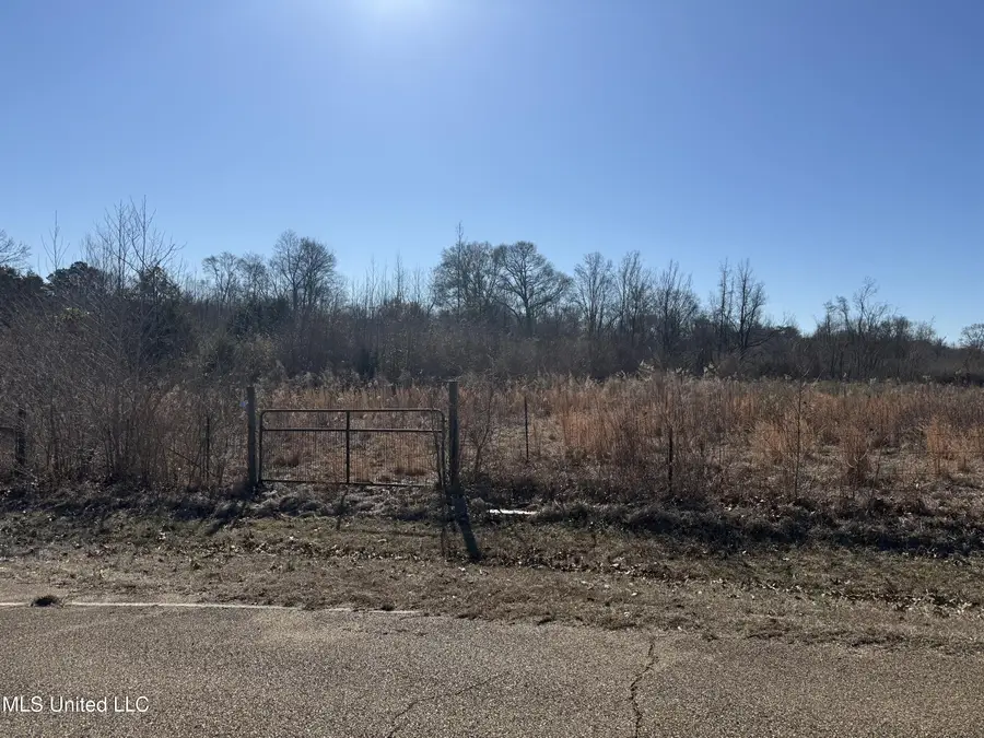 000 Levon Owens Drive, Terry, MS 39170 - #3