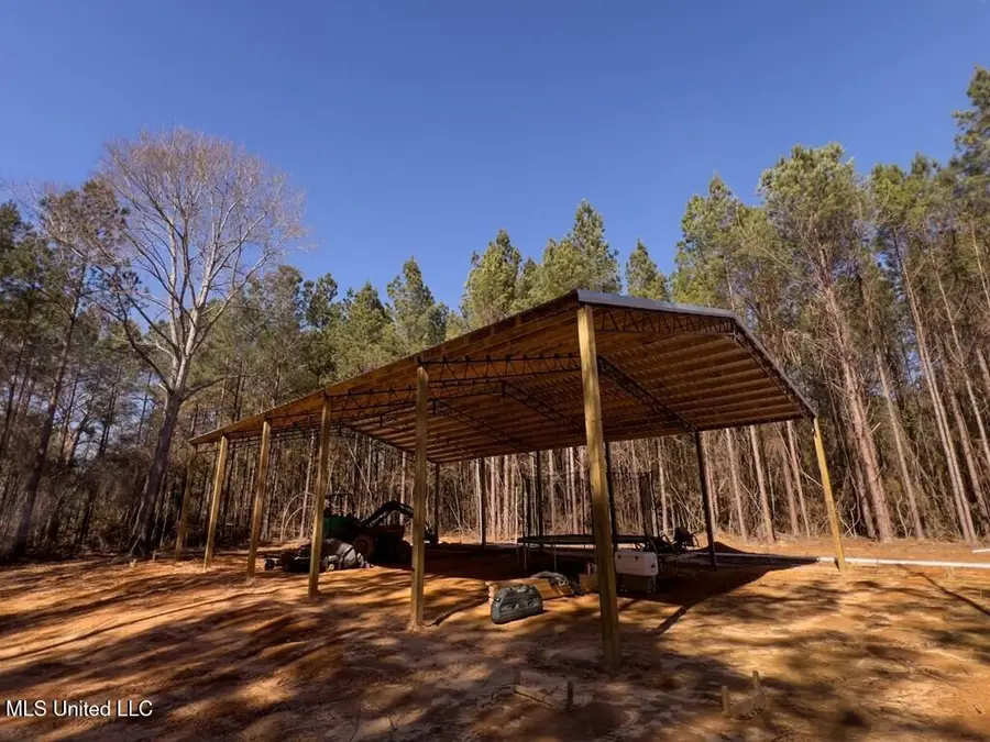 24 Nelson Road, Poplarville, MS 39470 - #3