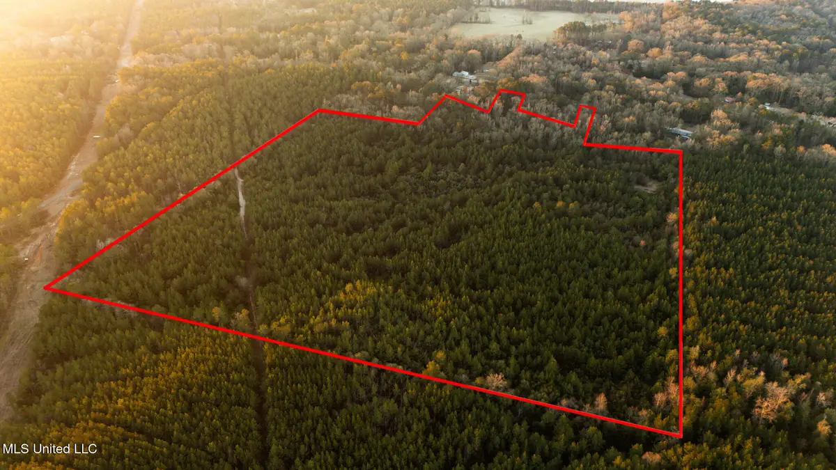 Foster Mcconnell Road, Seminary, MS 39479 - #1