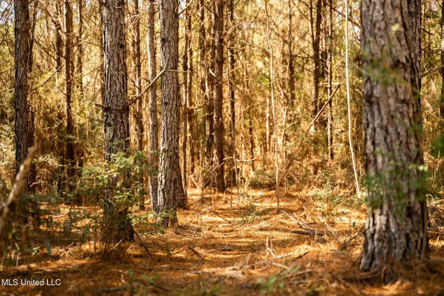 Foster Mcconnell Road, Seminary, MS 39479 - #2