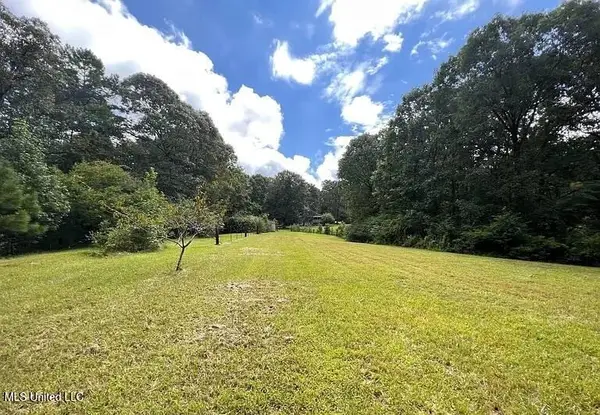 119 Spruce Drive, Pinola, MS 39149