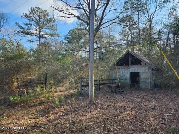 Kupfer Lane, Poplarville, MS 39470