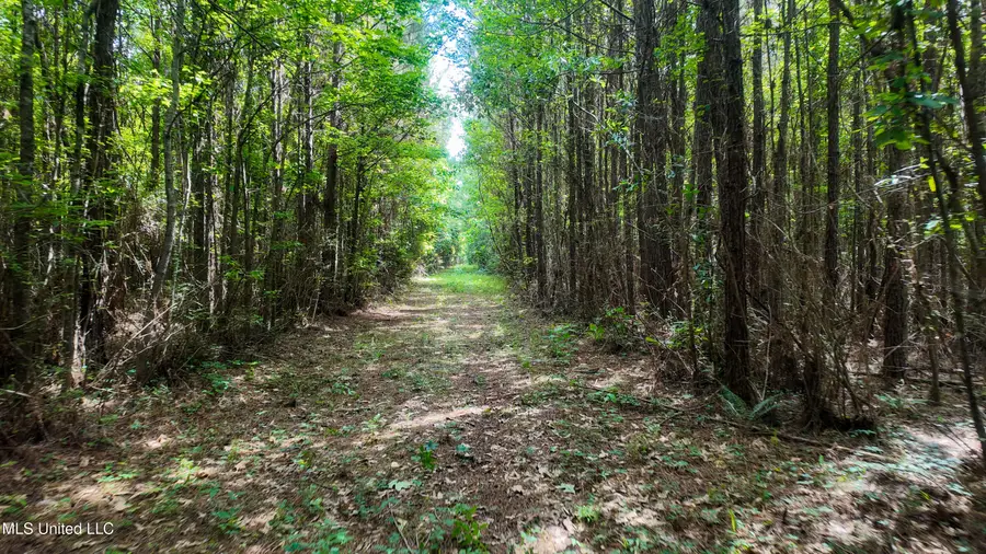 Mississippi 570, Summit, MS 39666 - #3