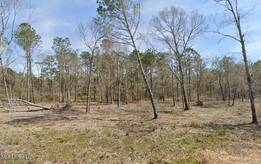 326 Espy Avenue, Pass Christian, MS 39571 - #2