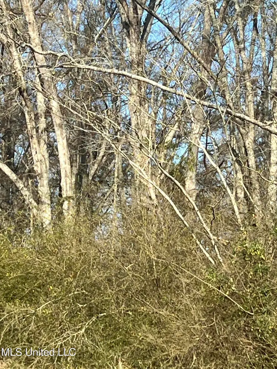 0 Adams Station Road, Utica, MS 39175 - #2
