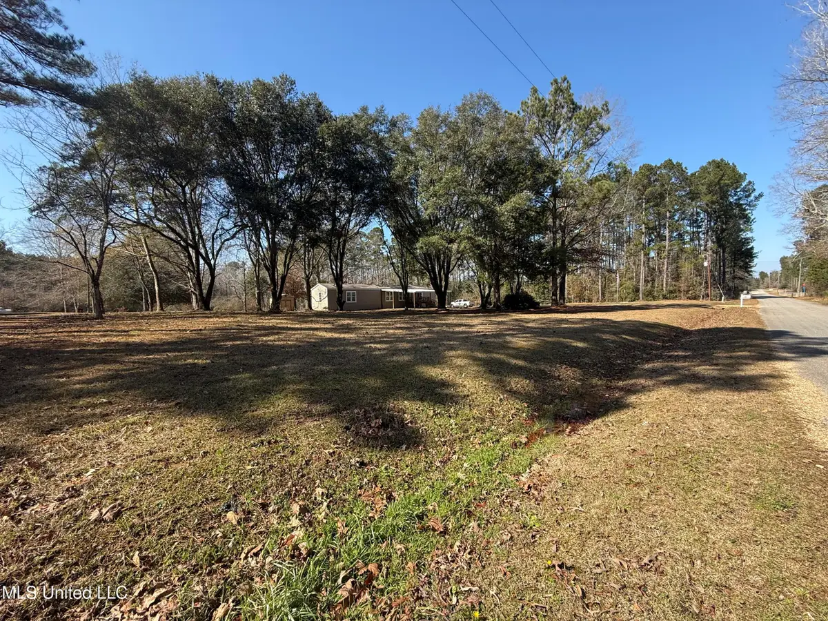 91 Trace Road, Monticello, MS 39654 - #1