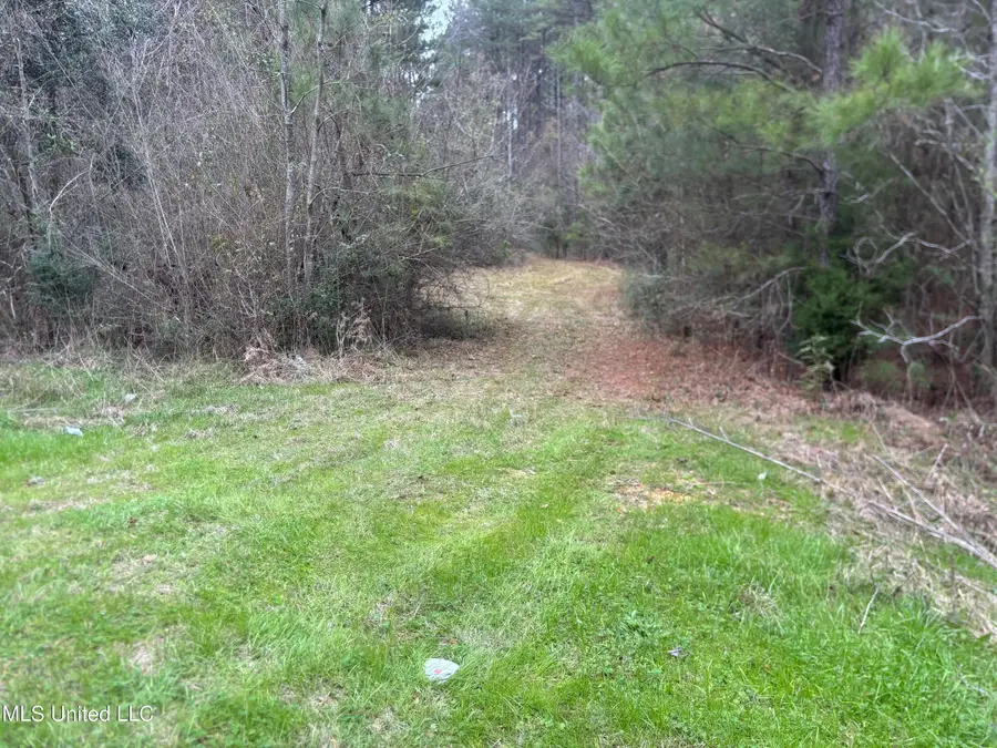0 Magnolia Progress Road, Magnolia, MS 39652 - #2