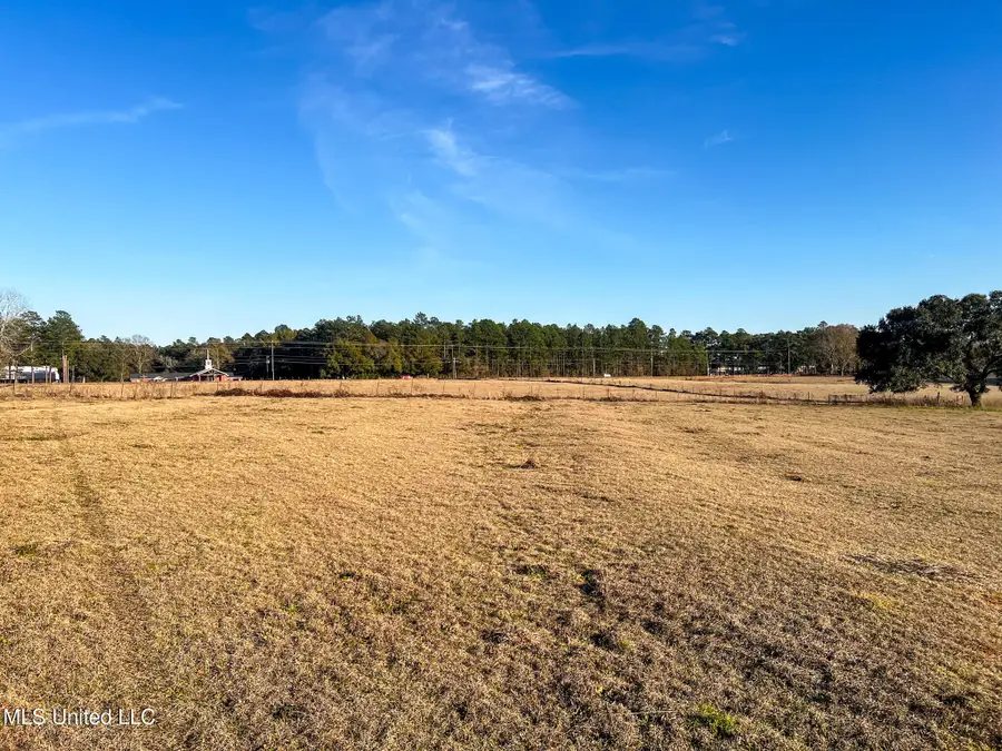 27 Ac Old Highway 63, Lucedale, MS 39452 - #2
