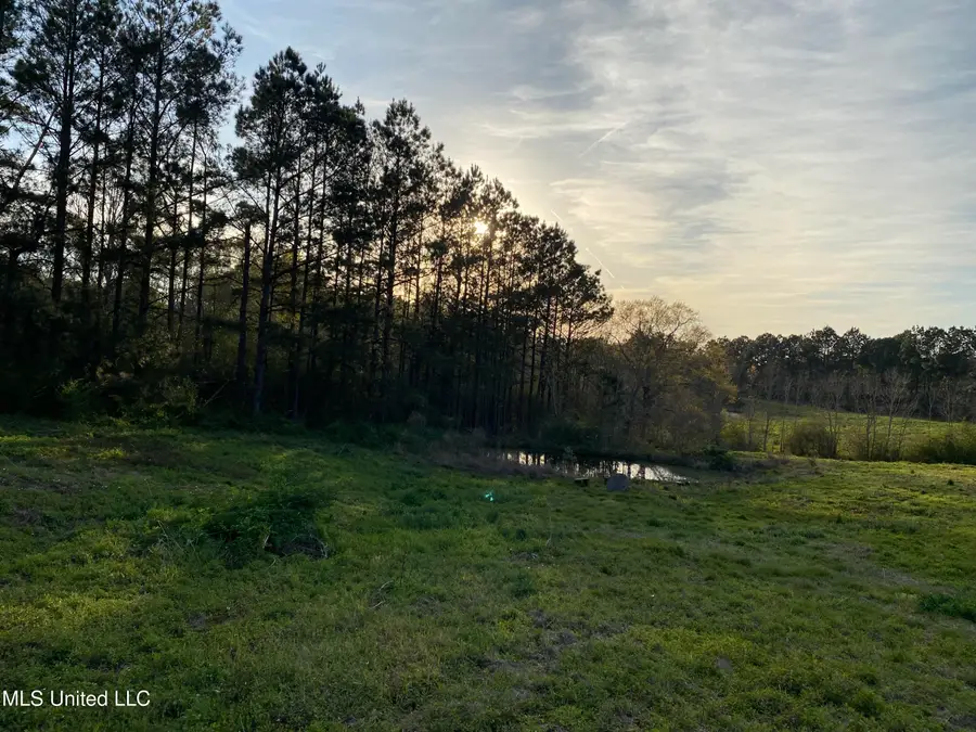 2441 Bouie Road, Carriere, MS 39426 - #2