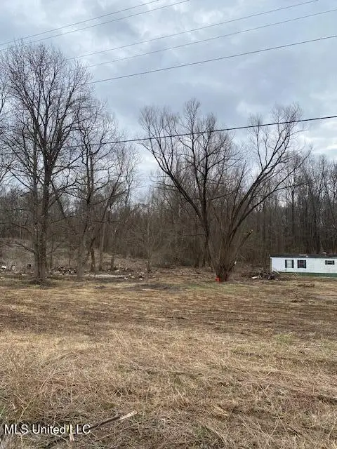 2085 Prichard Road, Coldwater, MS 38618 - #3