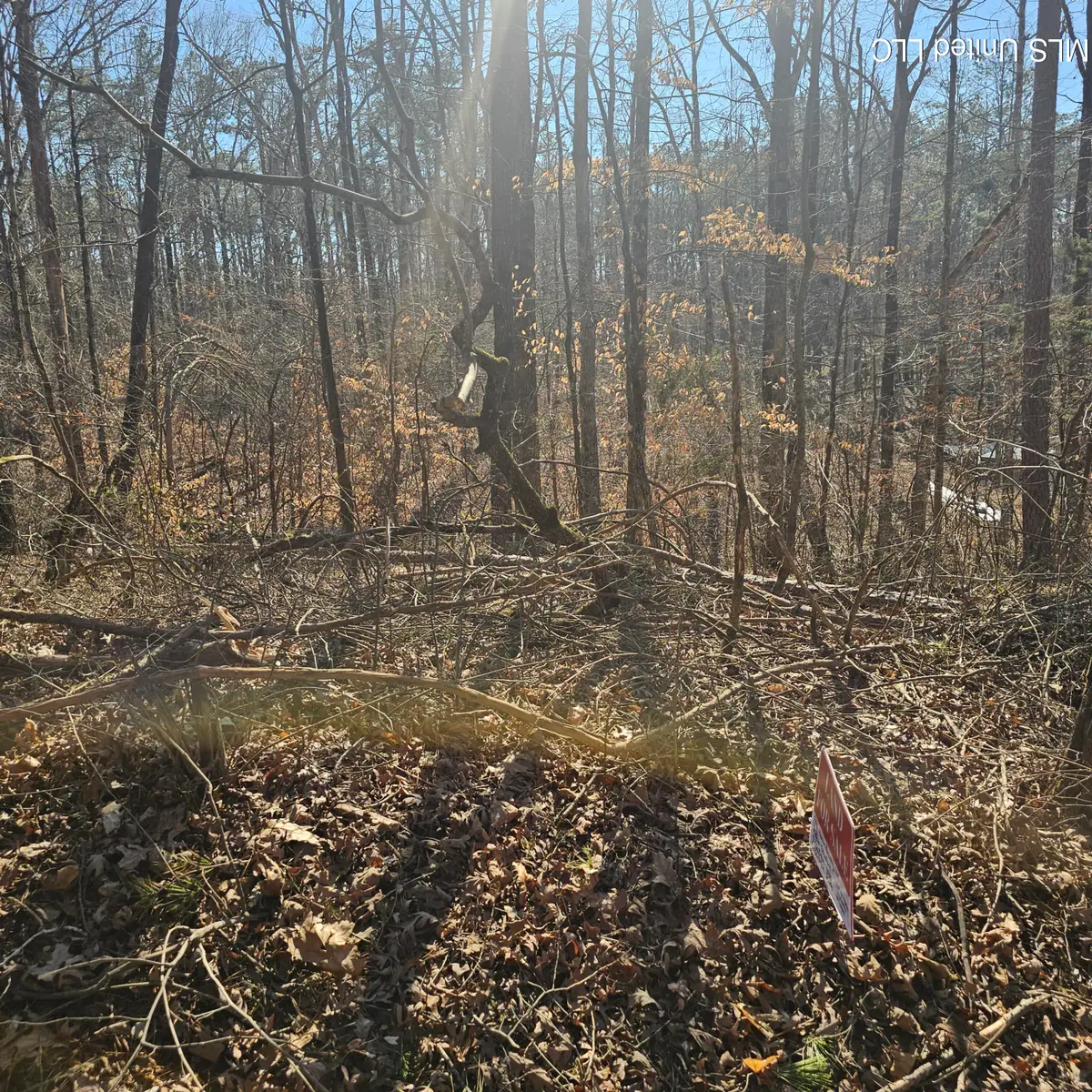 1204 Lake Breeze Drive, Myrtle, MS 38650 - #1