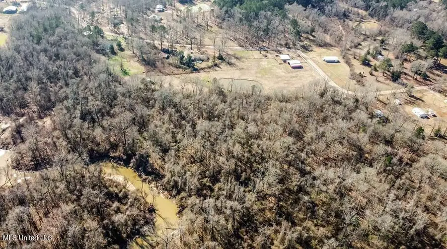 187 W Petros Road, Pearl, MS 39208 - #3