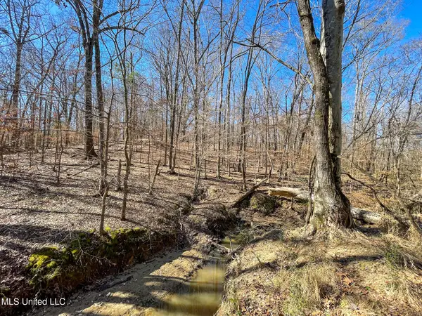 001 Robinson Springs Road, Flora, MS 39071