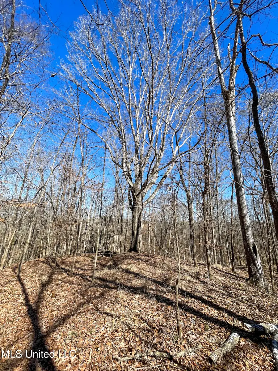 001 Robinson Springs Road, Flora, MS 39071 - #2