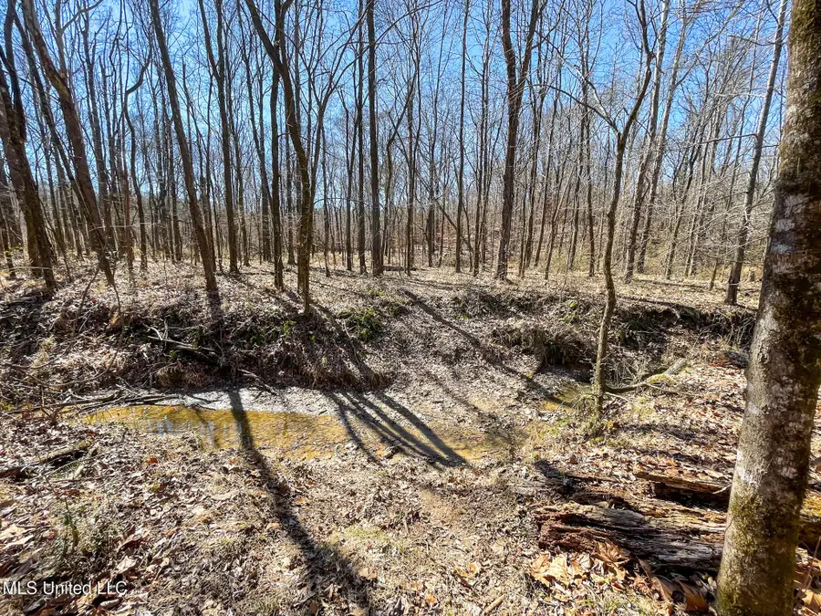 001 Robinson Springs Road, Flora, MS 39071 - #3