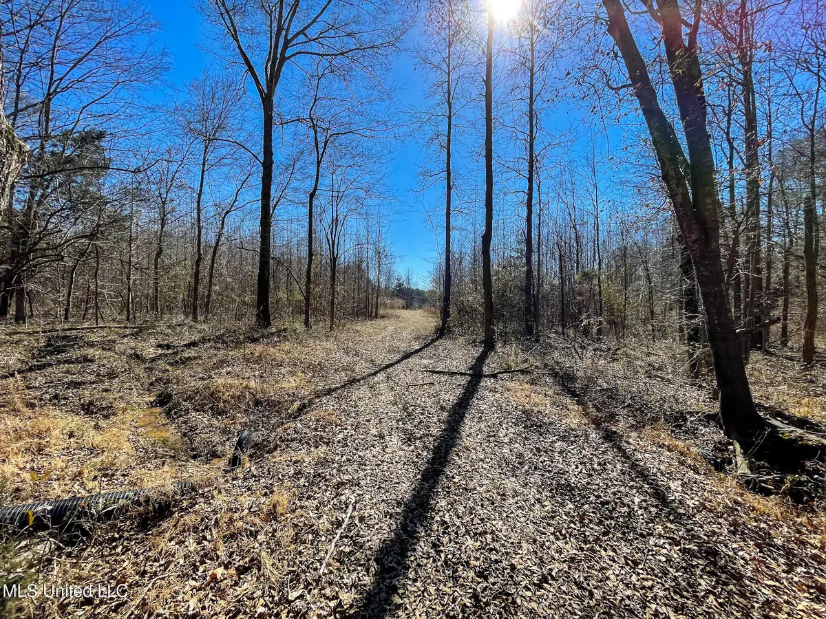 002 Robinson Springs Road, Flora, MS 39071 - #1