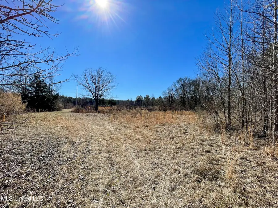 002 Robinson Springs Road, Flora, MS 39071 - #2