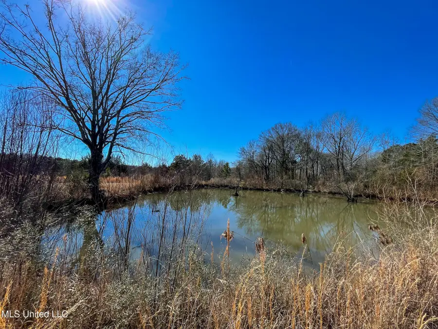 002 Robinson Springs Road, Flora, MS 39071 - #3