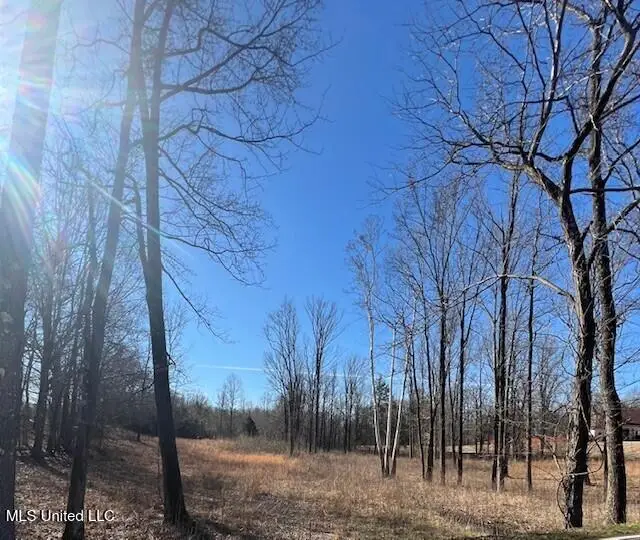 0 Austin Road, Lake Cormorant, MS 38641 - #1