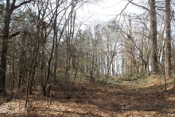 0 Laws Hill Road, Waterford, MS 38685