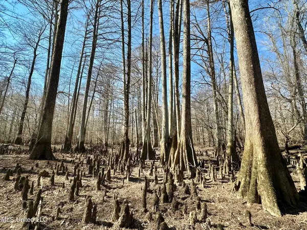 4 Evans Road, Carthage, MS 39051