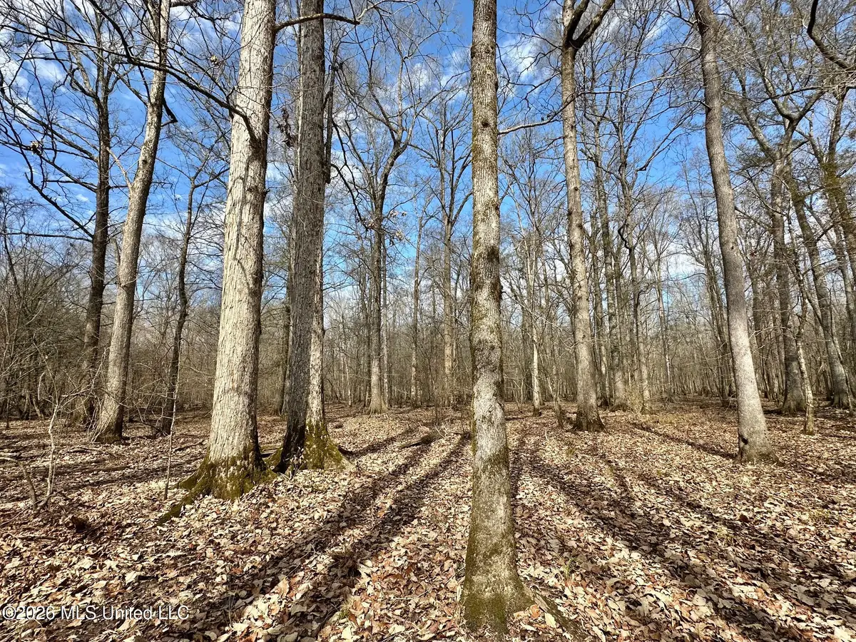 5 Scarborough Road, Carthage, MS 39051 - #1