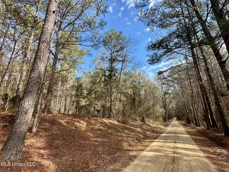 5 Scarborough Road, Carthage, MS 39051 - #2
