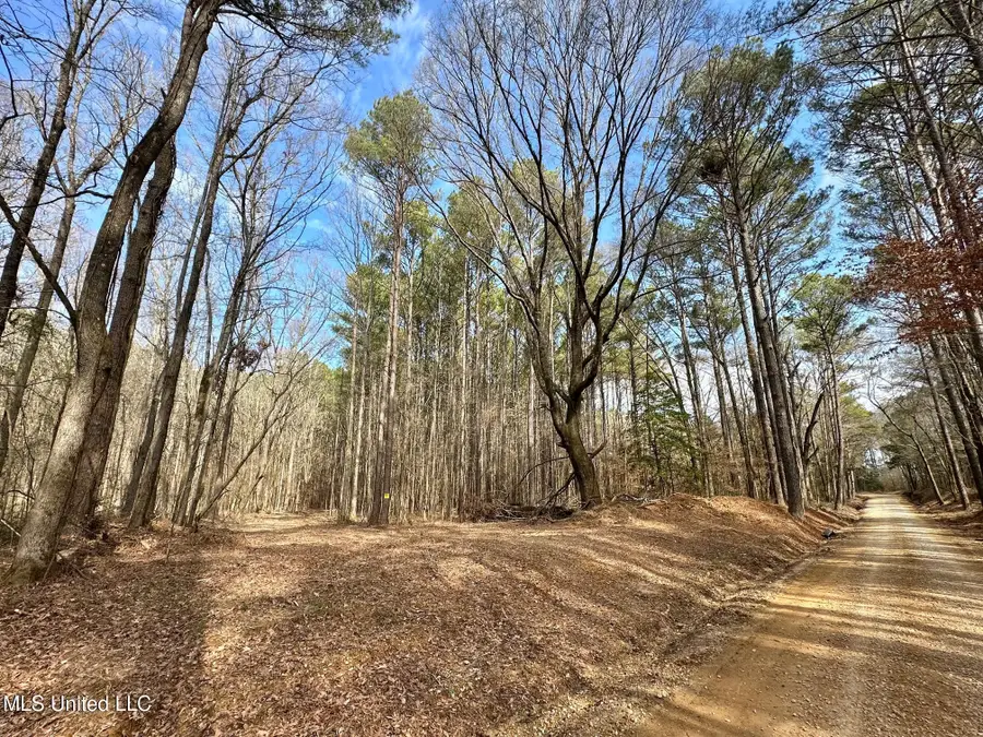 5 Scarborough Road, Carthage, MS 39051 - #3
