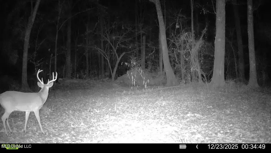 6 Cut Off Road, Carthage, MS 39051 - #2