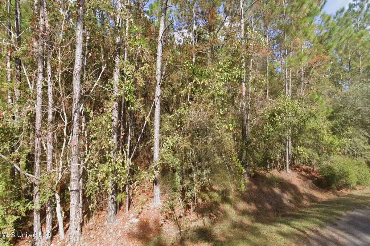 Cedar Drive, Bay Saint Louis, MS 39520 - #1