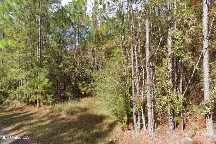 Cedar Drive, Bay Saint Louis, MS 39520 - #2