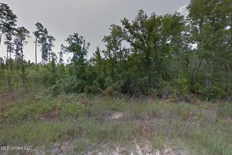 Cedar Drive, Bay Saint Louis, MS 39520 - #3