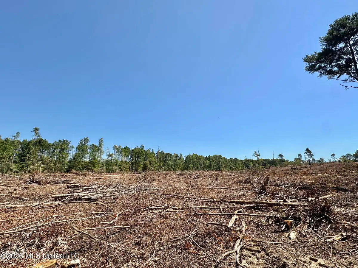 7 Cut Off Road, Carthage, MS 39051 - #1