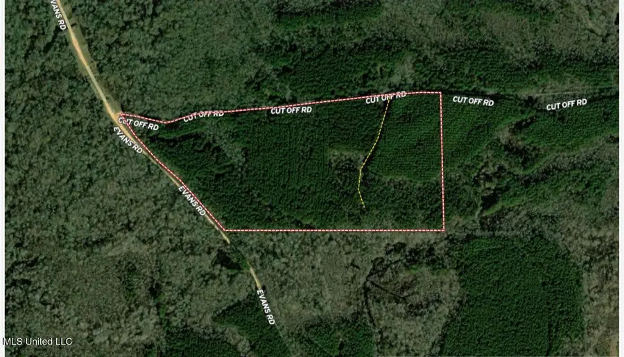 7 Cut Off Road, Carthage, MS 39051 - #2