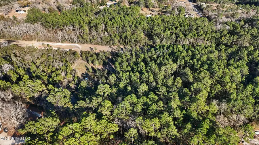 Bert Dedeaux/henry Harley Road, Saucier, MS 39574 - #3