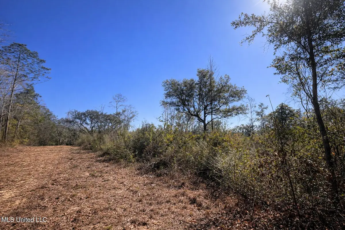 3 Standard Cemetery Road, Kiln, MS 39556 - #1