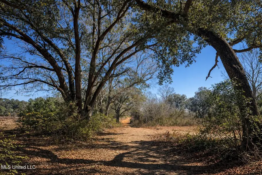 4 Standard Cemetery Road, Kiln, MS 39556 - #2