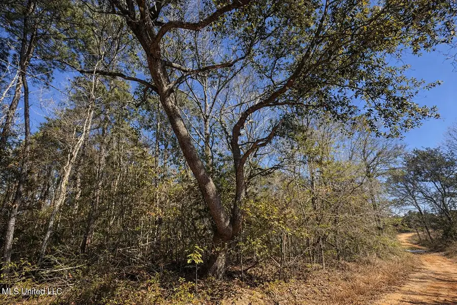 4 Standard Cemetery Road, Kiln, MS 39556 - #3