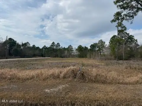 Sears Avenue, Waveland, MS 39576 - #2