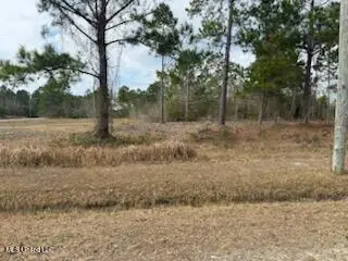 Sears Avenue, Waveland, MS 39576 - #3