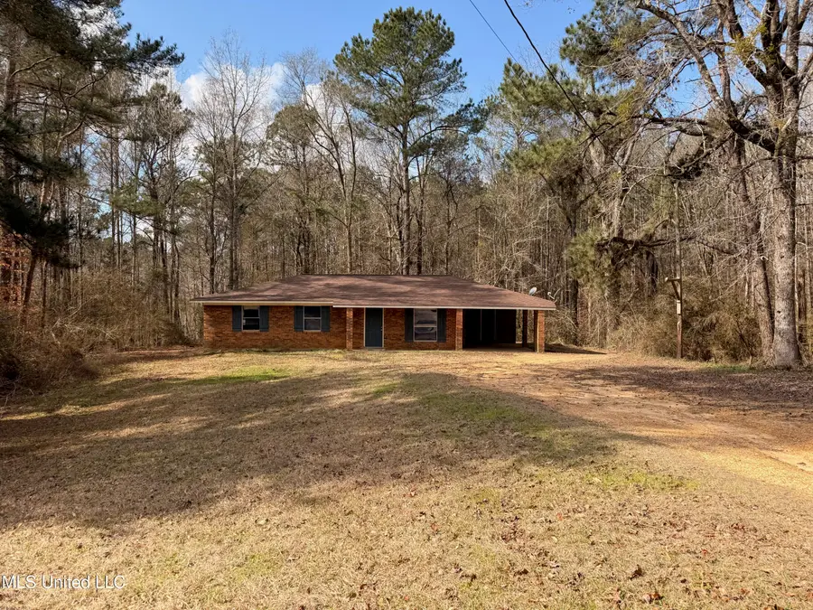 4142 Linfrank Line Drive, Smithdale, MS 39664 - #2