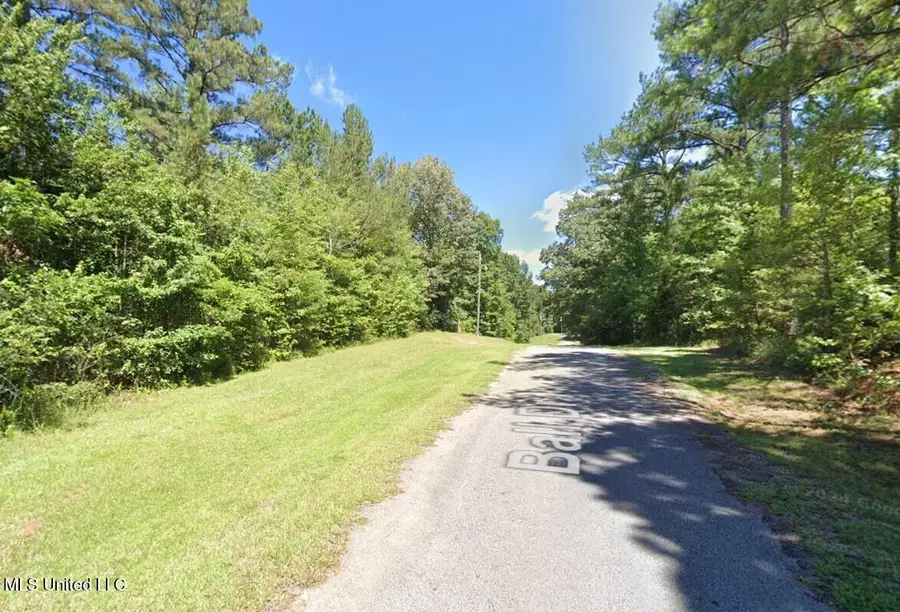 163 Ball Drive, Calhoun City, MS 38916 - #2