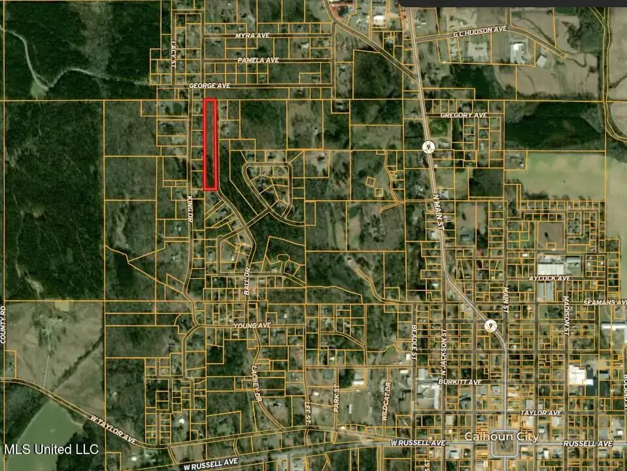 163 Ball Drive, Calhoun City, MS 38916 - #3